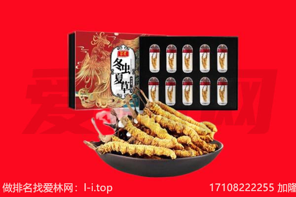 肇庆高要区回收虫草.jpg